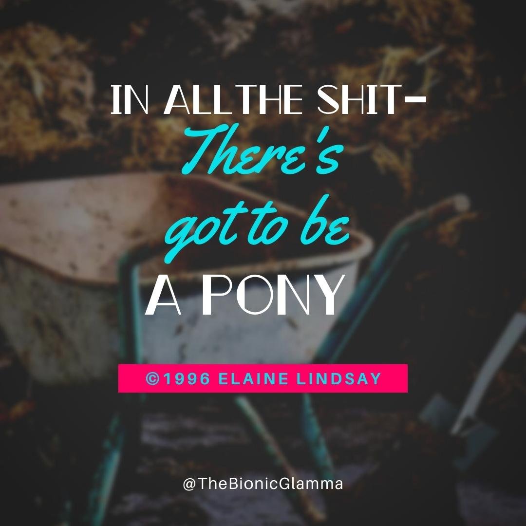 My philosophy is a bit tongue in cheek.. Extreme optimism goes along with my #gratitudeattitude